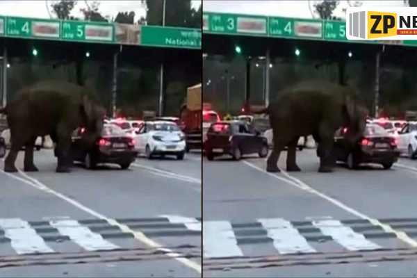 देहरादून में लच्छीवाला टोल प्लाजा पर हाथी का उत्पात